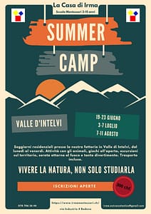 Summer camps